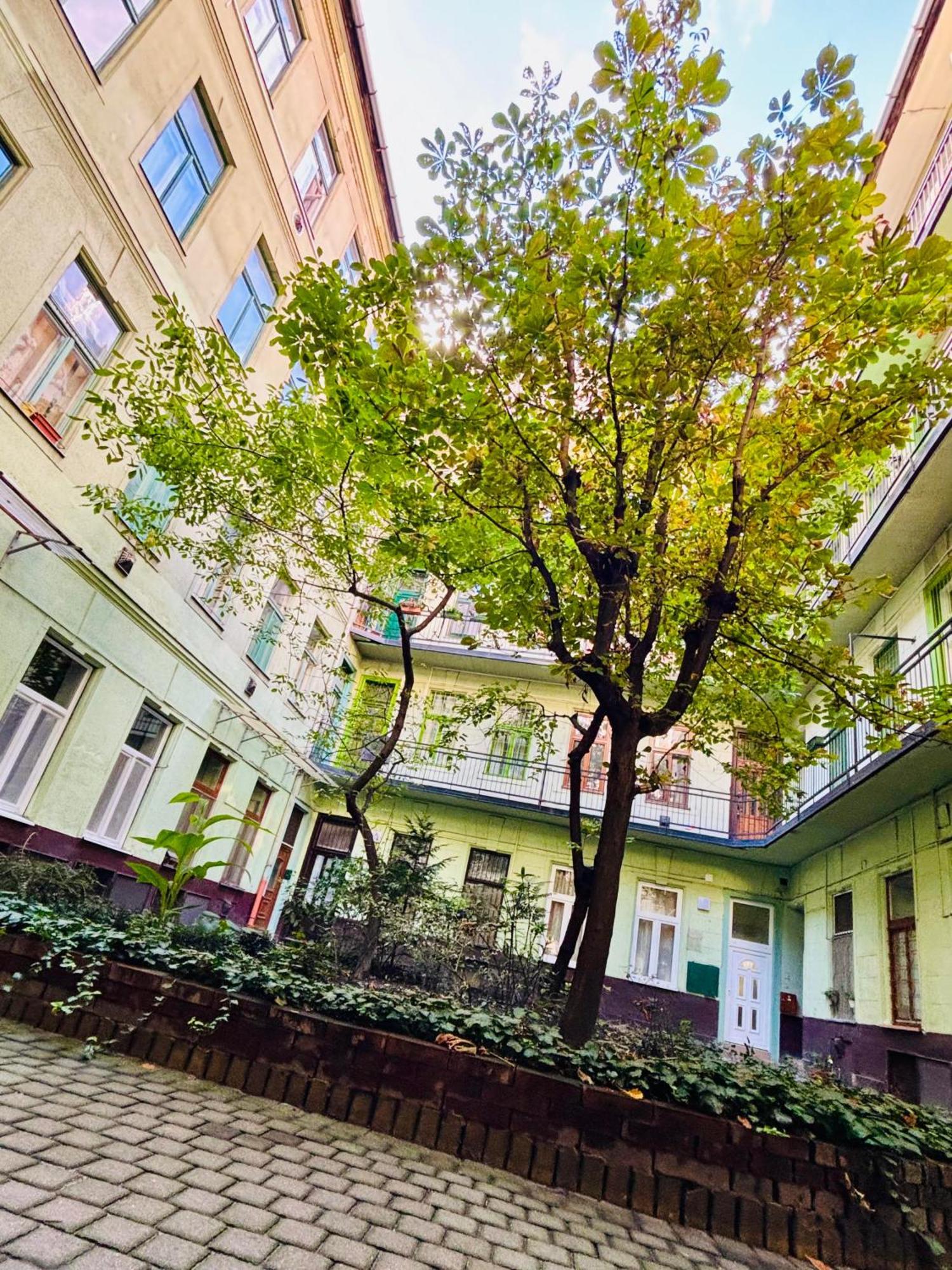 Ava Central Residence Budapeszt Zewnętrze zdjęcie